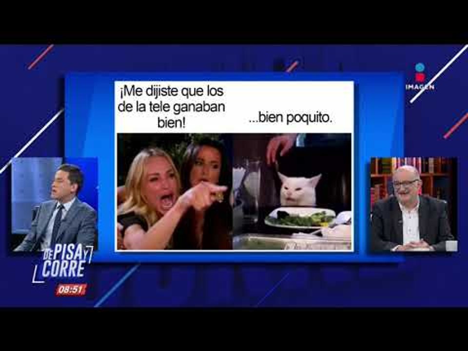 Los memes de gato con Roy Campos de Consulta Mitofsky | De Pisa y Corre