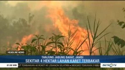 Kebakaran Lahan Karet Capai 4 Hektar di Jambi