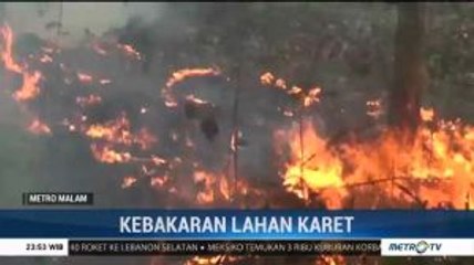 Karhutla Terjadi di Lampung dan Trenggalek