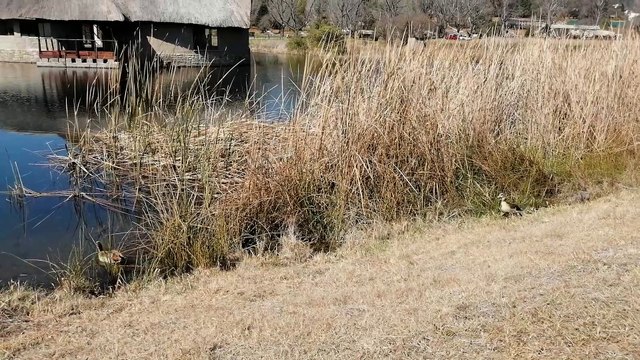 Beautiful Nature - incredible light in south Africa
