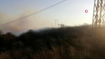 Erdek'te orman yangını