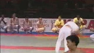 Martial Arts - Capoeira (Bercy Festival 2001)