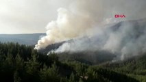 Antalya kaş'ta orman yangını-1