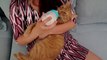 10 signs you are a crazy  cat lady | Crazy cat lady | funny cats | funny cats videos | cats are so funny | cats will make you smile | creative cat videos | short films cats