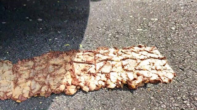 Crushing Crunchy & Soft Things by Car! - EXPERIMENT- LIGHTERS VS CAR