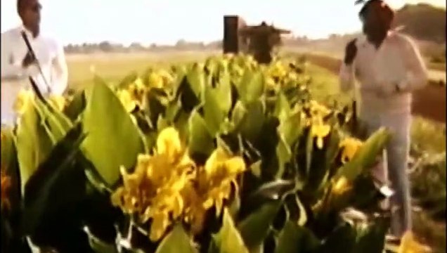 Ennamma Kannu — Malaysia Vasudevan, S. P. Balasubrahmanyam | From Movie: Mr. Bharath — (1986) — Tamil-language/Magic/Hindi/Movie/Indian/மொழி: தமிழ்