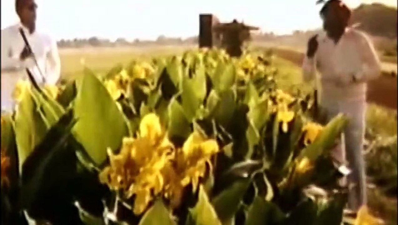 Ennamma Kannu — Malaysia Vasudevan, S. P. Balasubrahmanyam | From Movie: "Mr. Bharath" — (1986) — Tamil-language/Magic/Hindi/Movie/Indian/மொழி: தமிழ்