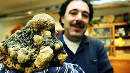 Los 15 Materiales Más Caros del Mundo