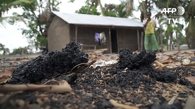 Au nord du Mozambique, la population vit dans la terreur des jihadistes fantômes