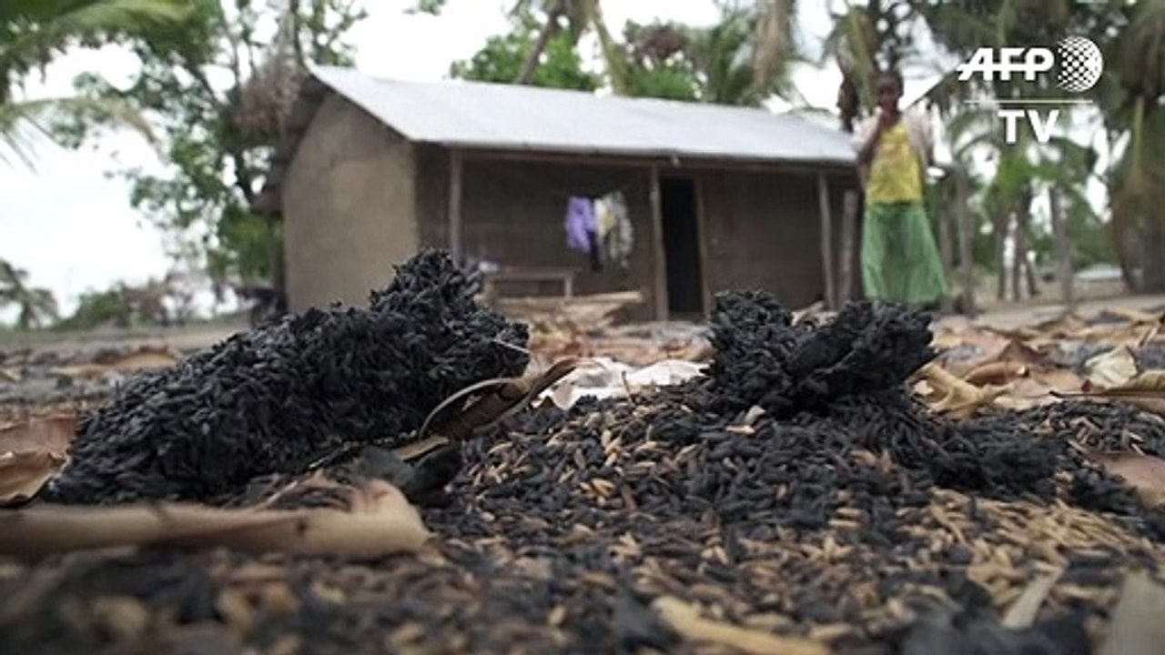 Au nord du Mozambique, la population vit dans la terreur des jihadistes "fantômes"