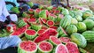 500 KG WATERMELON - Summer Health Drinks - WaterMelon Juice from Farm Fresh Fruits - Village Cooking - Copy