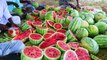 500 KG WATERMELON - Summer Health Drinks - WaterMelon Juice from Farm Fresh Fruits - Village Cooking - Copy