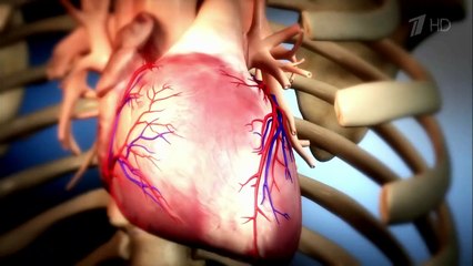 Здоровье. Дожить до 120. Статины. (08.05.2016)