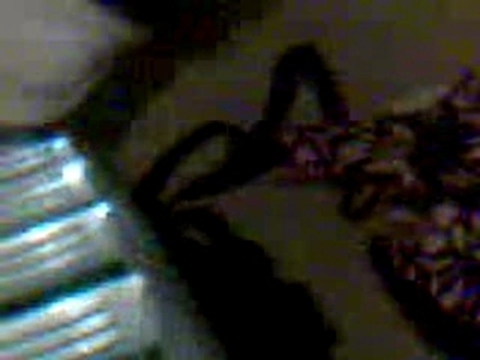 Vidéo003