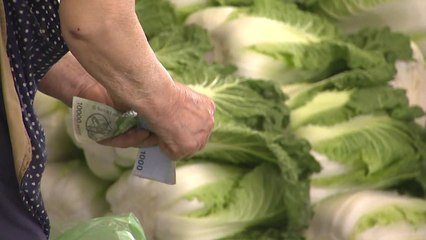 소비자물가 '사실상 마이너스'..."디플레이션은 아니다" / YTN