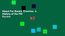 About For Books  Enemies: A History of the FBI  Review