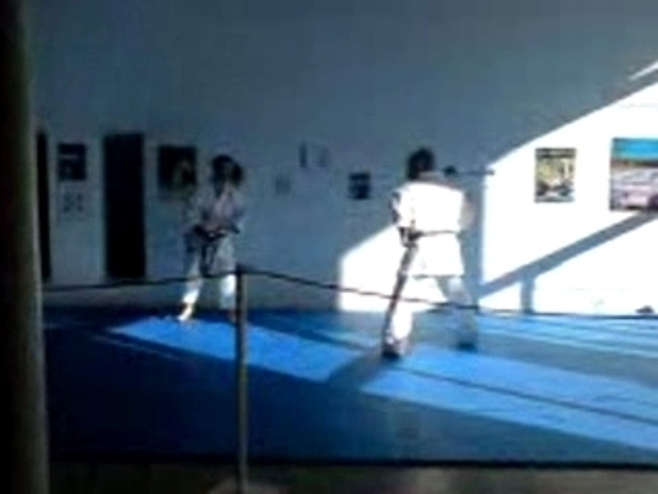 Jacques Tapol : bunkai du kata unsu