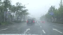 [날씨] 전국 가을장마, 중부 300mm↑...주 후반 태풍 영향 비바람 / YTN