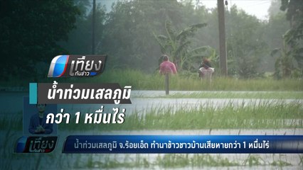 น้ำท่วมเสลภูมิ จ.ร้อยเอ็ด ทำนาข้าวชาวบ้านเสียหายกว่า 1 หมื่นไร่ - เที่ยงทันข่าว