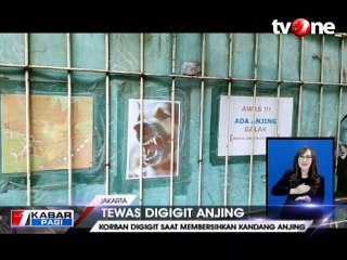 ART Tewas Digigit Anjing Majikannya