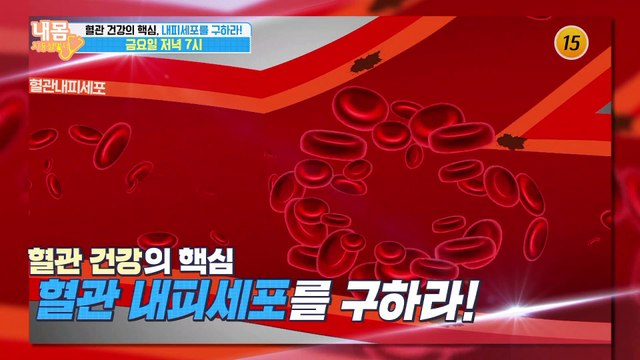 혈관 건강의 핵심, 내피세포를 구하라!_내 몸 사용설명서 267회 예고