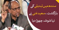 Saeed Ghani initiates new speculation regarding changes in Sindh