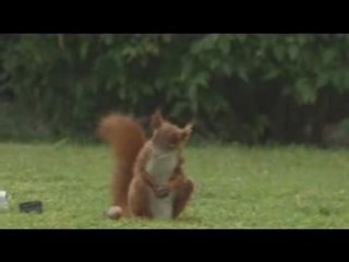 tu sais faire ça avec tes noix ?