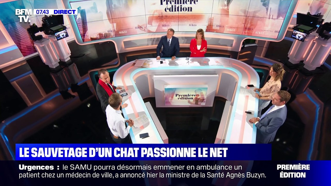 Le sauvetage d'un chat passionne le Net