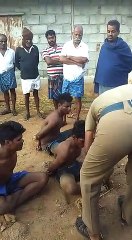 பசு மாட்டை கடத்தி பாலியல் வன்புணர்வு..3 வடமாநில இளைஞர்கள் கைது-வீடியோ