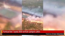 Türkiye'de 1 ayda 300 orman yangını çıktı!