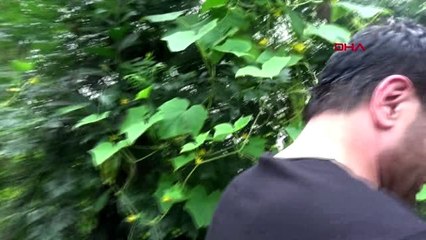 Rize davut güloğlu, köyünde huzur buluyor