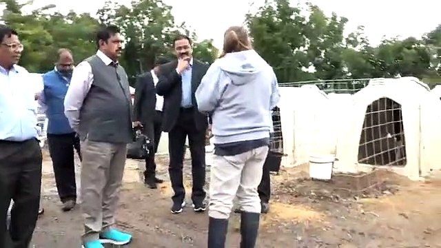 Watch Video : TN CM Edappadi palanisamy has visit buffalo farm in us
