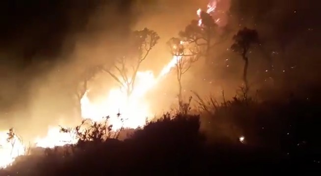 Un incendio forestal en Tarifa provoca el desalojo de 25 personas