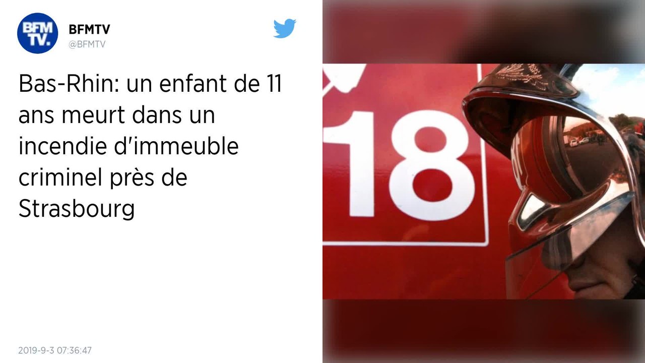Rugby : L’Afrique du Sud avec Siya Kolisi pour affronter le Japon en match de préparation à la Coupe du monde