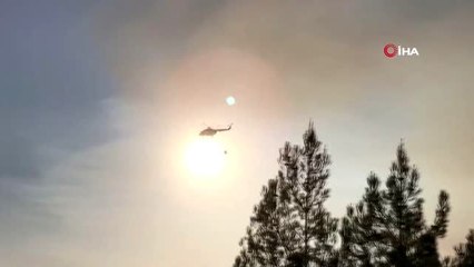 Kaş'taki orman yangınında hızlı müdahale büyümeyi önledi