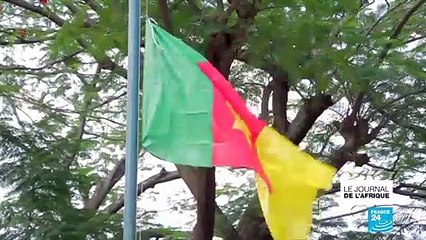 Au Cameroun, les vétérinaires luttent pour sauver le perroquet Jaco