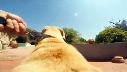 Zincirlerden kurtulup, özgürlüğe koşmak...