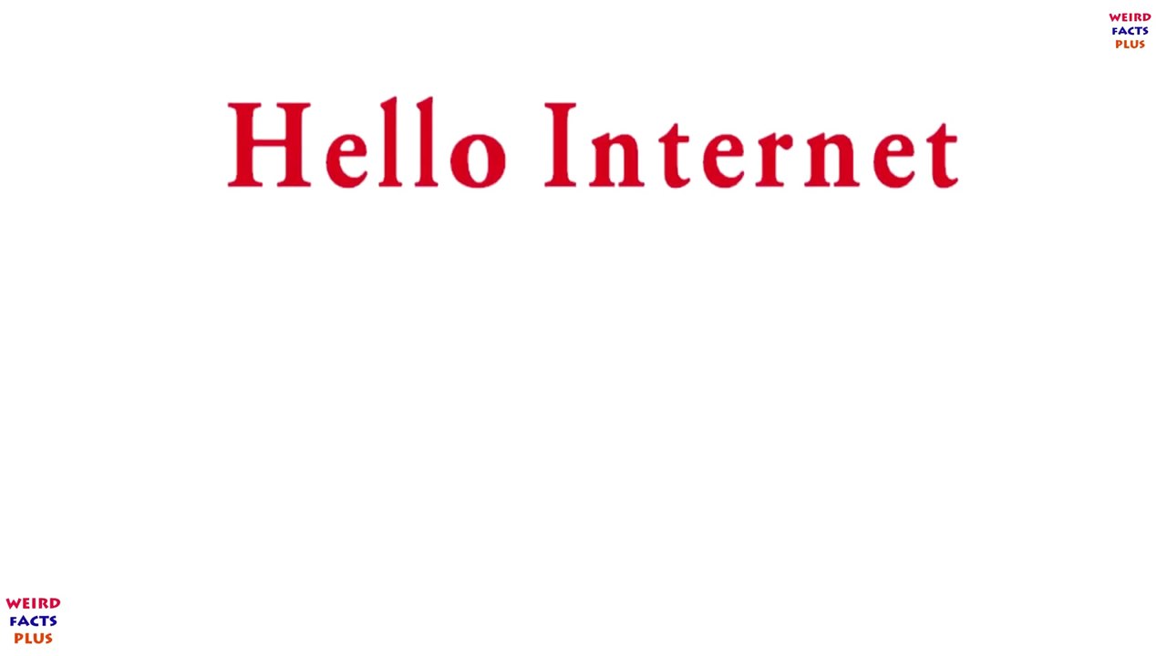 How Startups and companies started?