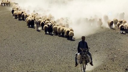 Besicilerin zorlu yolculuğu (1) - VAN/BİTLİS