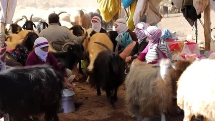 Besicilerin zorlu yolculuğu (2) - VAN/