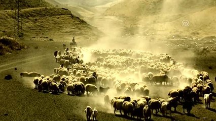 Besicilerin zorlu yolculuğu (1) - VAN/