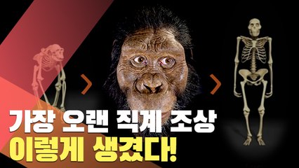 [월드줌인] 가장 오랜 인류 직계 조상 이렇게 생겼다