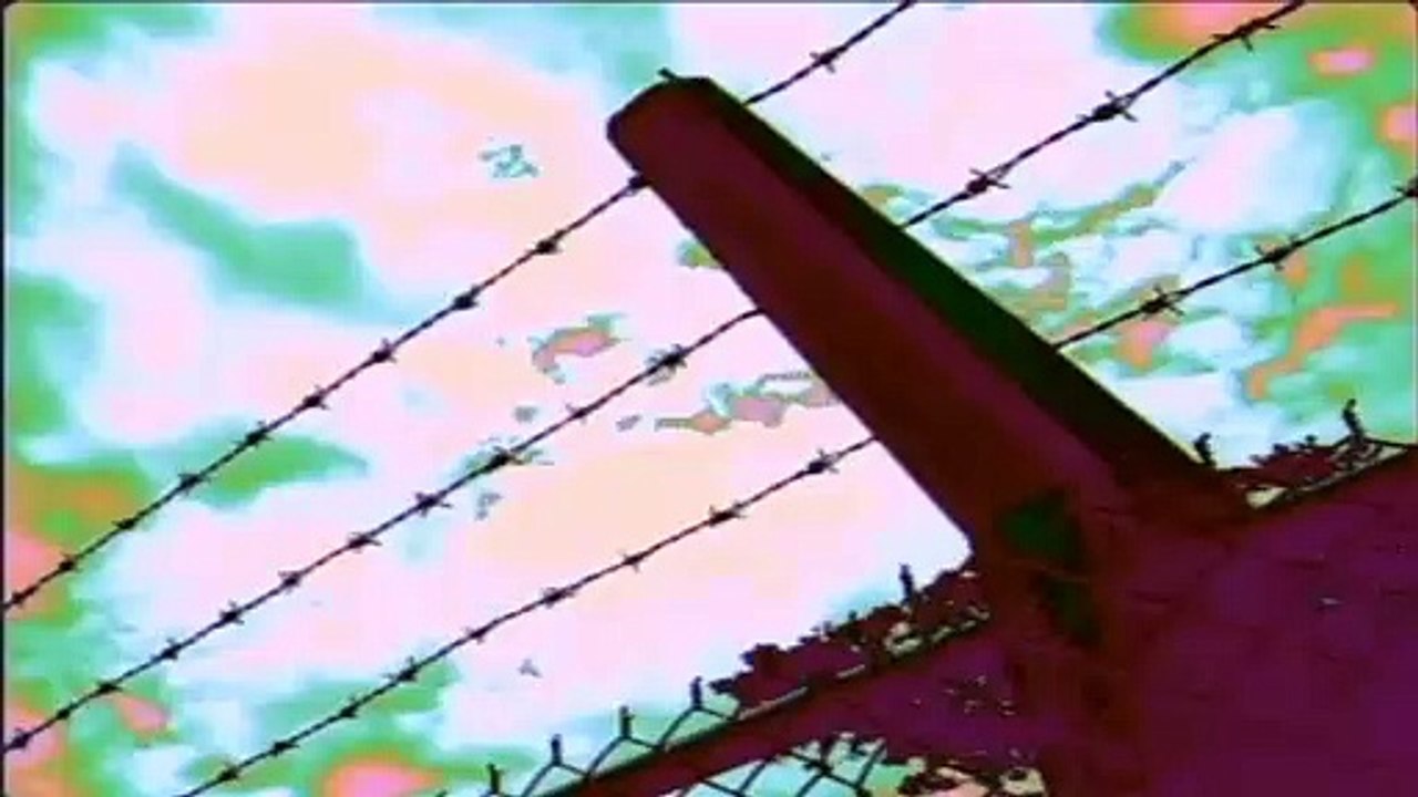 dan3