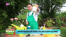 Doğala Dönüş