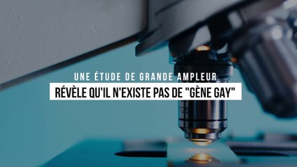 Une étude ADN de grande ampleur révèle qu'il n'existe pas de "gène gay"