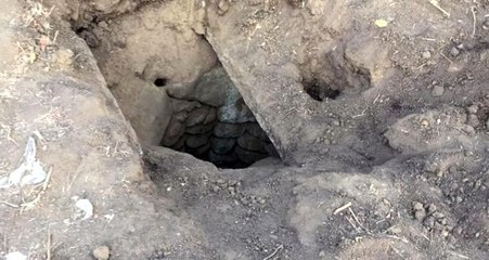 İlçeyi ayağa kaldırmıştı! Mezarlıktan gelen sesin gizemi çözüldü