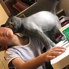 Ce petit garçon et son chat sont adorables. Admirez les !