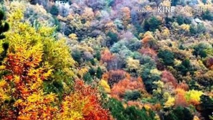 Arjen Arî - Ji Kîşweran Payîz e Niha (Deng- Ceso)