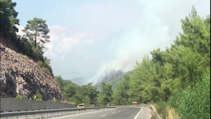 Muğla'da orman yangını