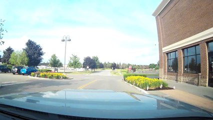 Passionate Pedestrian Prances